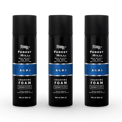 Gillette Classic Shaving Foam
