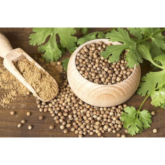 Dhaniya Sabut / Coriander Seeds (Loose) – M.M. Brothers