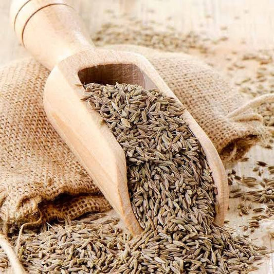 Jeera / Cumin Seeds (Loose) – M.M. Brothers